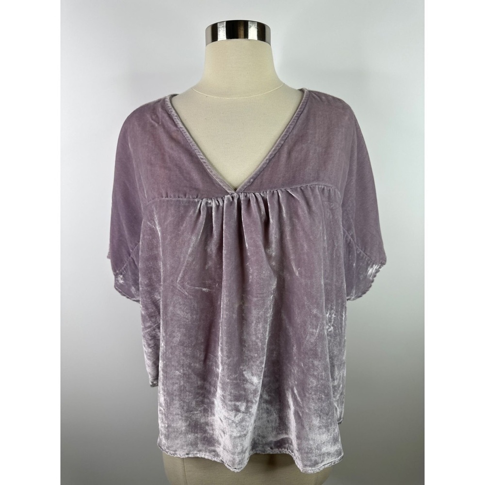 Madewell Velvet V-Neck Short Sleeve Top